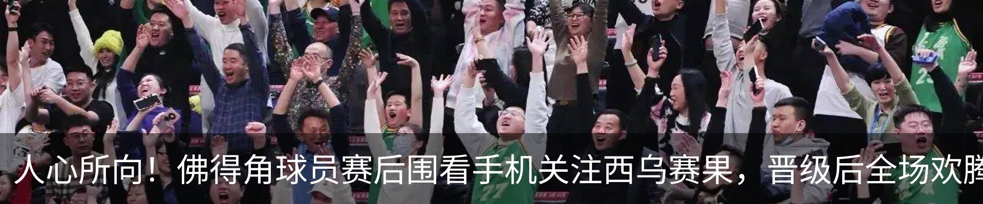 新闻动态