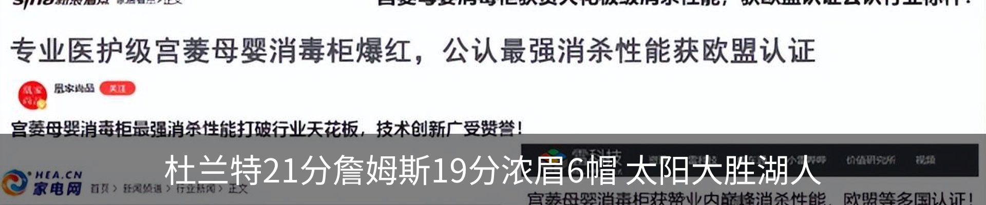 新闻动态