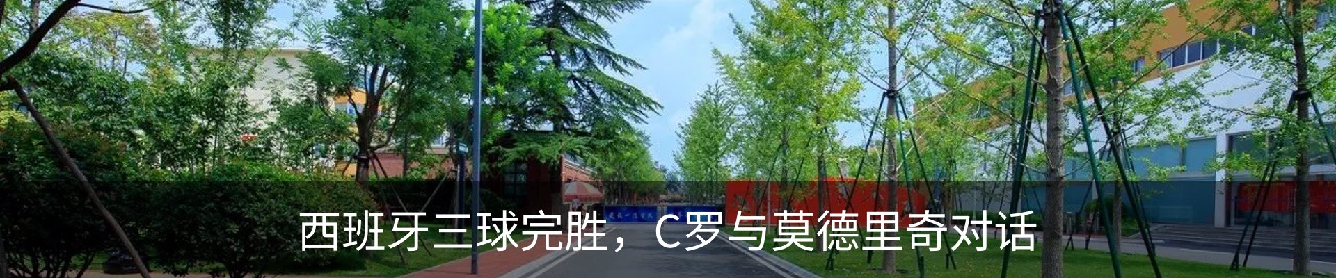 新闻动态