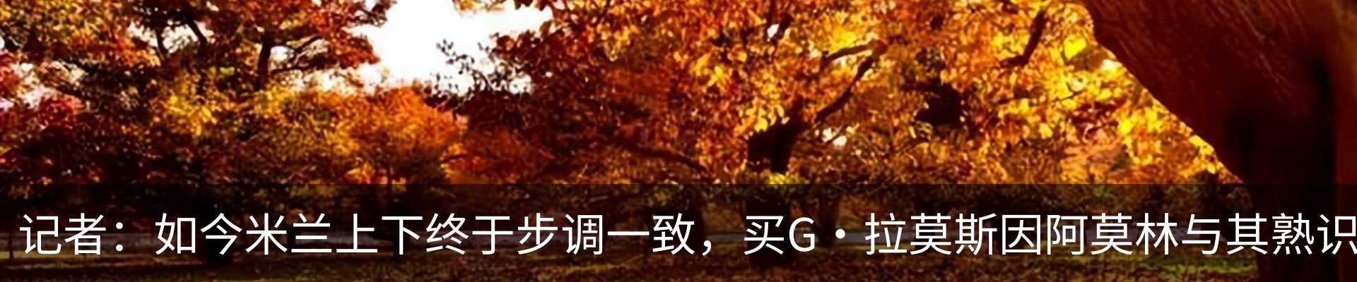 新闻动态