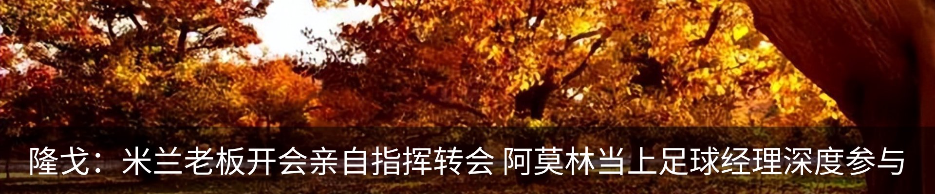 新闻动态