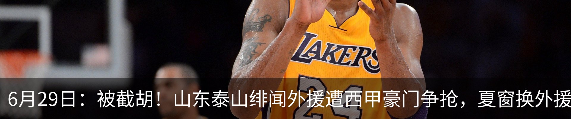 新闻动态